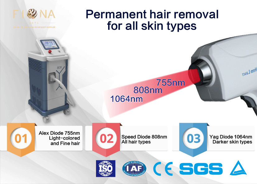 Clinic Use Permanent Hair Removal Equipment 600W No Pigmentation High Efficiency