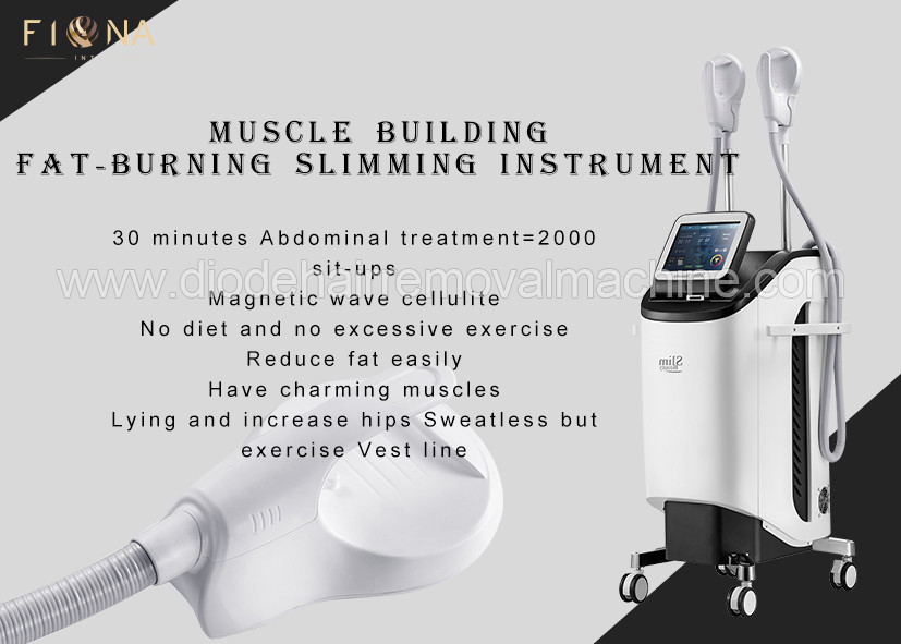 200V 50/60Hz Body Slimming Equipment / Beauty Slimming Machine Vertical Style