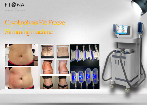 RF Cavitation Cryolipolysis Fat Freeze Slimming Machine Frozen Fat Removal